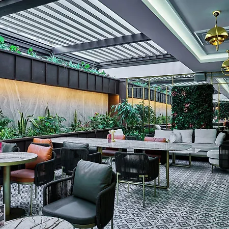 Rayelin Old * Isztambul